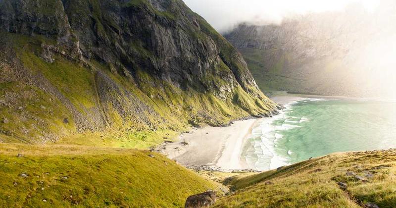 红桃免费视频官网H5版-免费高清影视短视频在线观看